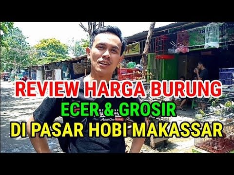 REVIEW HARGA BURUNG ECER & GROSIR DI PASAR HOBI MAKASSAR