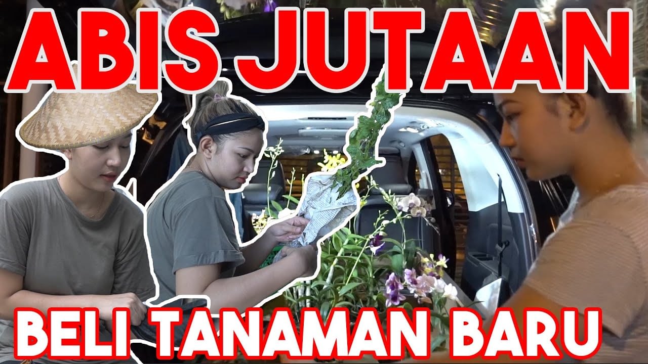 HOBI BARU BANYAK ARTIS, BERCOCOK TANAM #DiRumahAja